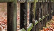 Ab ut in officia illum ab.